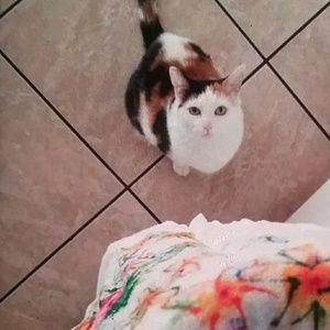 Meet your Posher, Jamie